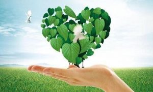 中華人民共和國環境保護法